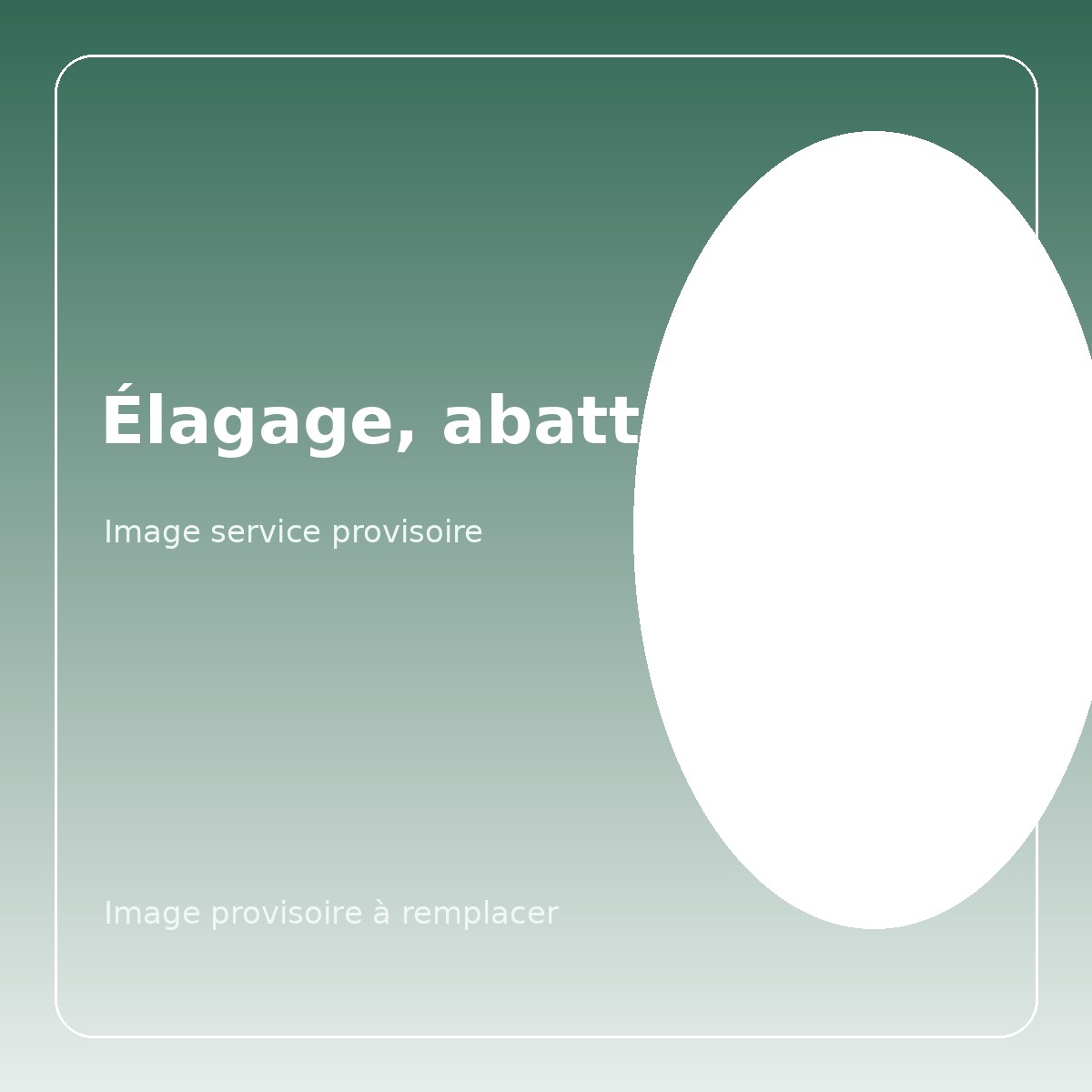 Élagage abattage rognage